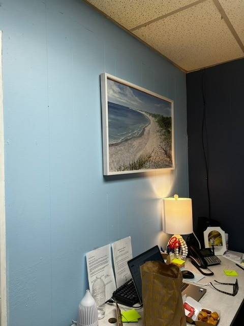 Picture 16