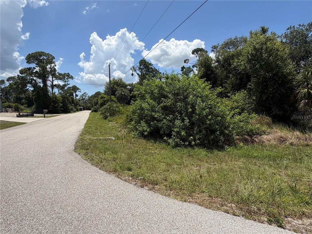 Picture 6