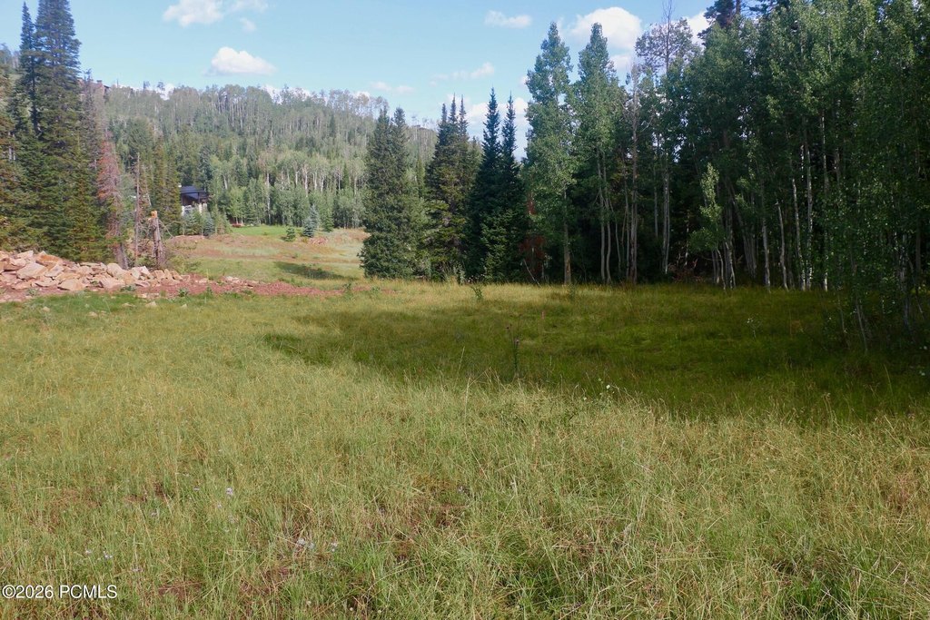 Picture 8