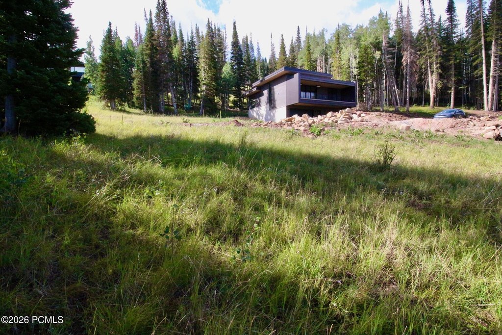 Picture 10