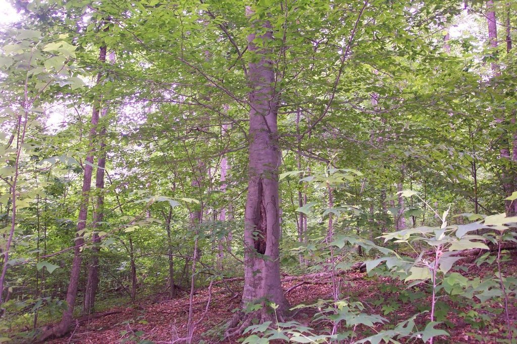 Picture 6