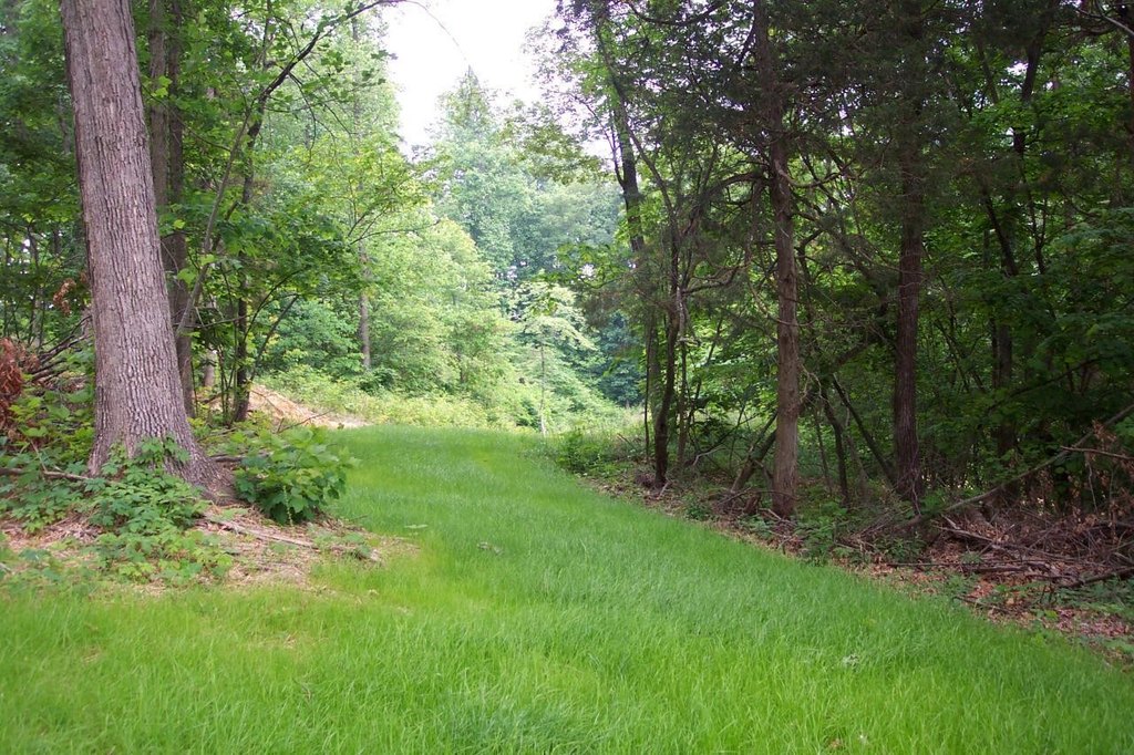 Picture 7