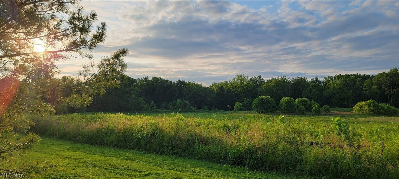 Premium Homesite with Protected Backdrop