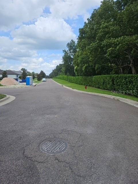 Picture 3