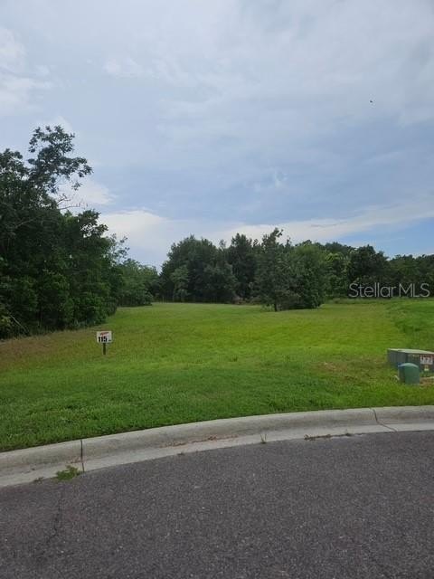 Picture 2