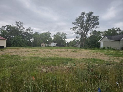 Commercial Lot on M-20