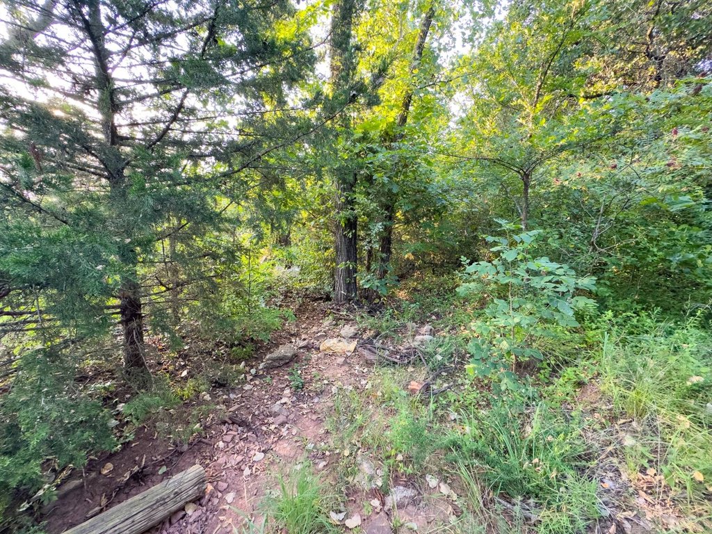 Picture 21