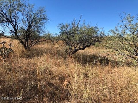 LAND - Rio Rico, AZ