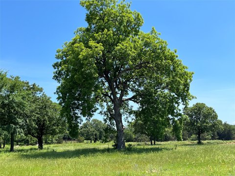 Cleared Homesite with Pond