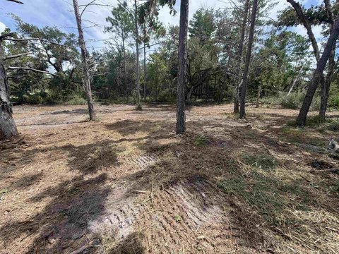 Land, Perry, FL