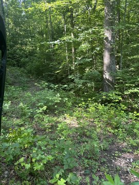 Land, Wilder, TN