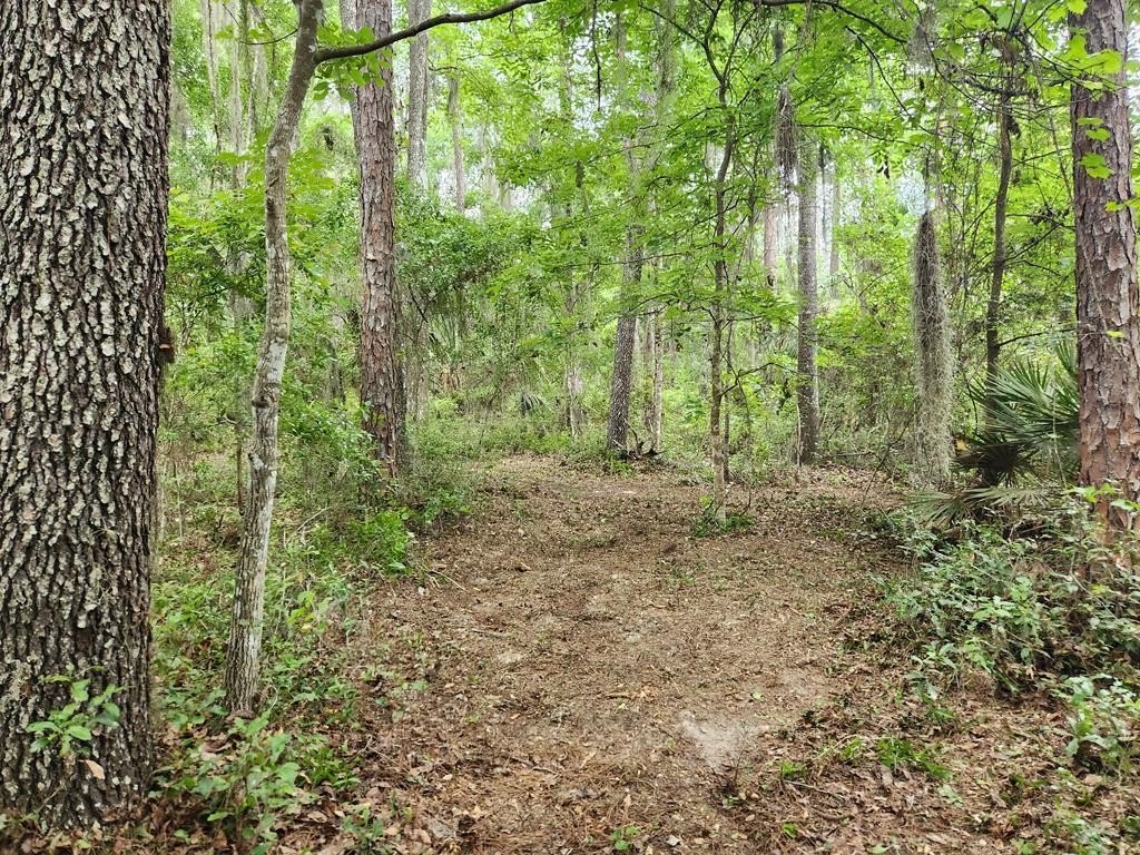Picture 18