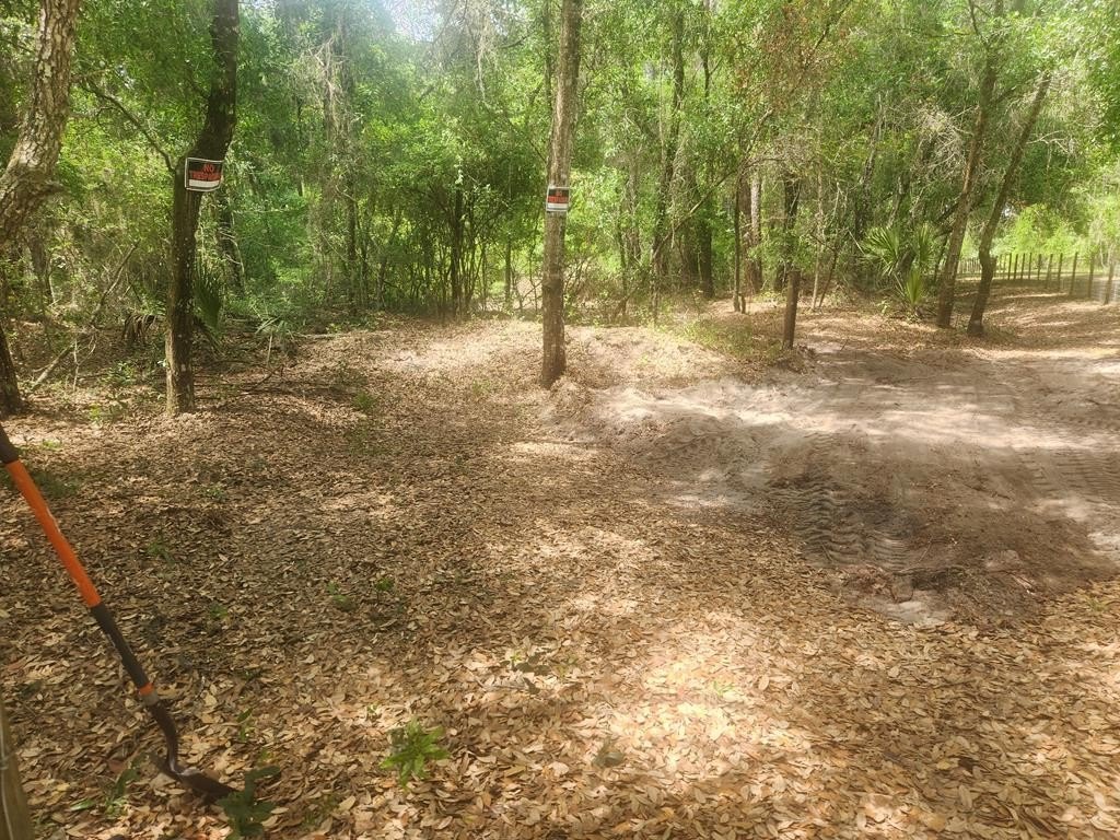 Picture 12
