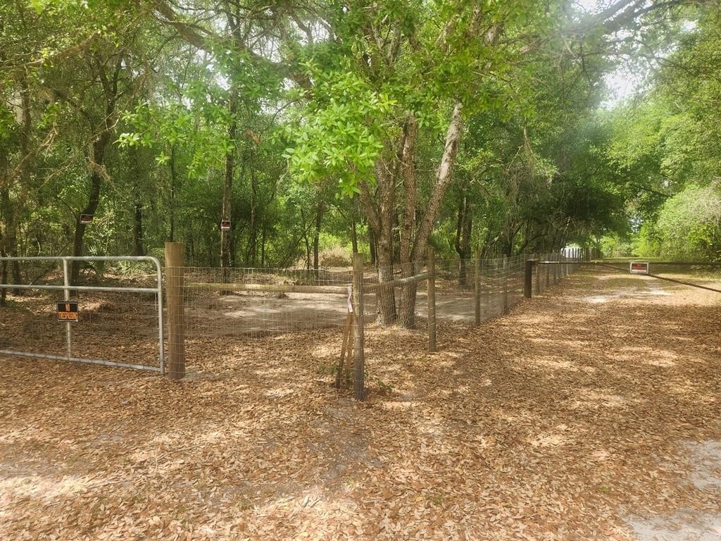 Picture 10