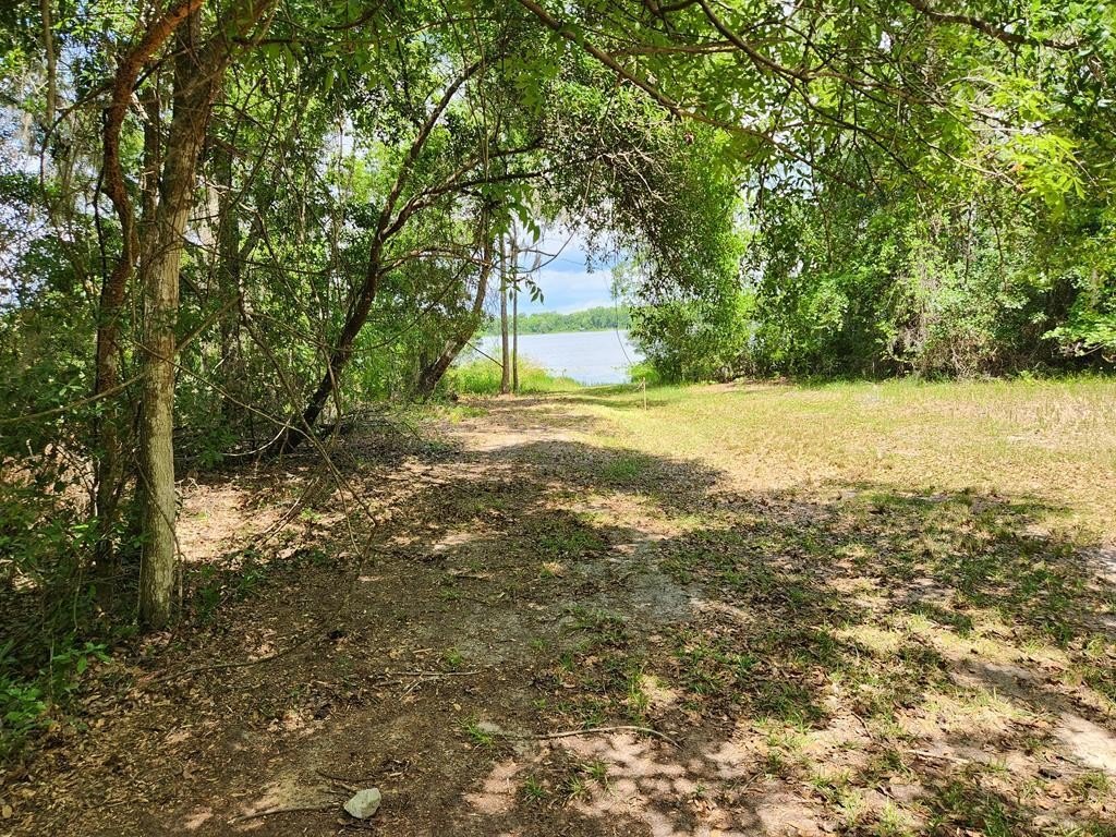 8 Acres Wooded Lakefront Land