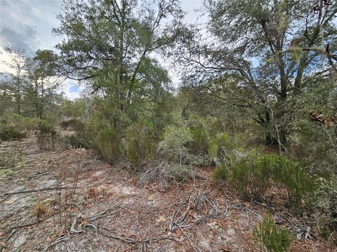 Spacious Archer Land Parcel