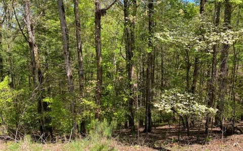 Gated Resort Recreation Land Lot