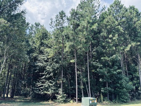 Land, Jasper, TN