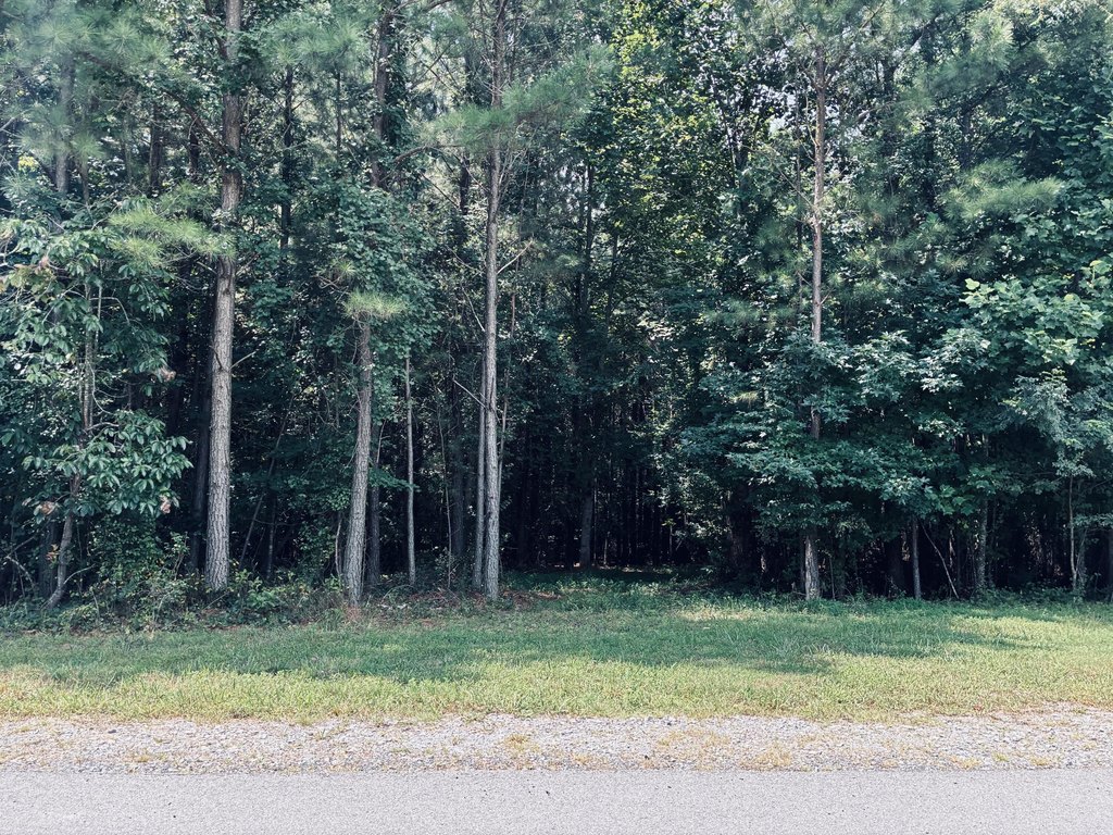 Picture 4