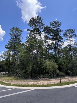 Residential Land in Deer Moss Creek