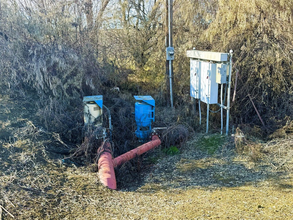 Picture 16