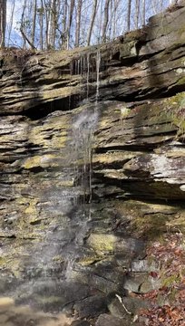 East Bernstadt Land with Creek