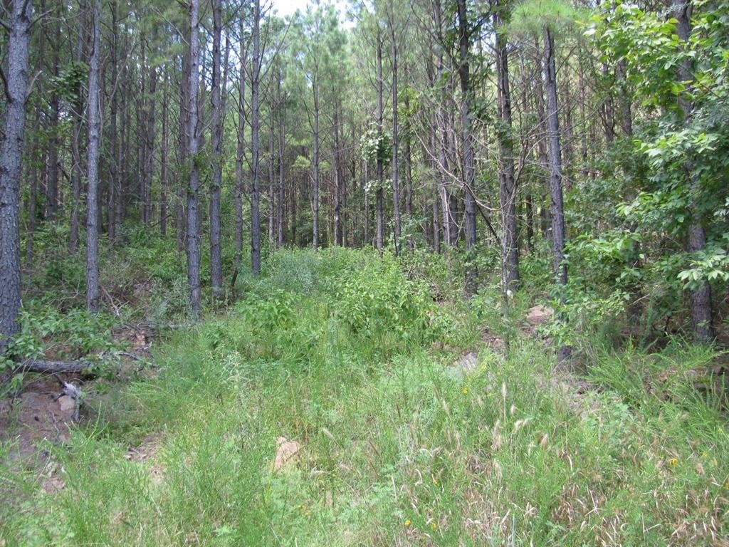 Land in Hardy Creek, Oklahoma