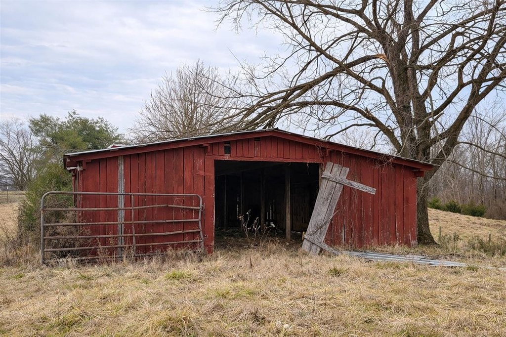 Picture 10