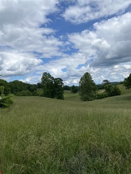 Pasture and Wooded Farmland Tract