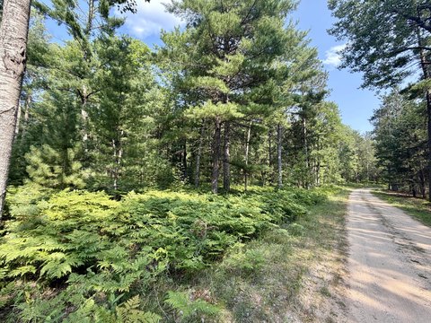 LAND - Vanderbilt, MI