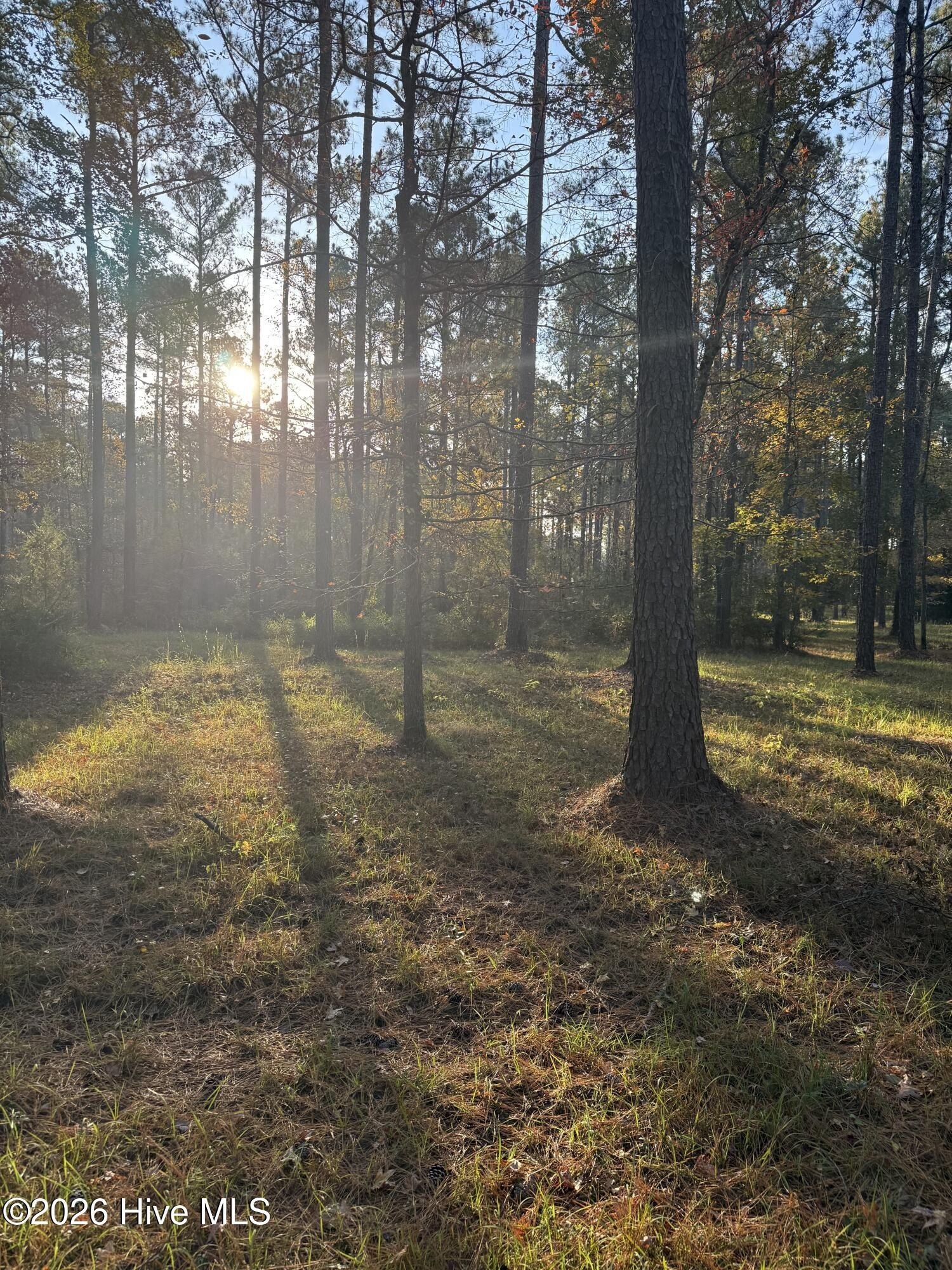 Waterfront Land in Oriental, NC