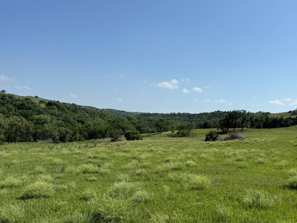Picture 21