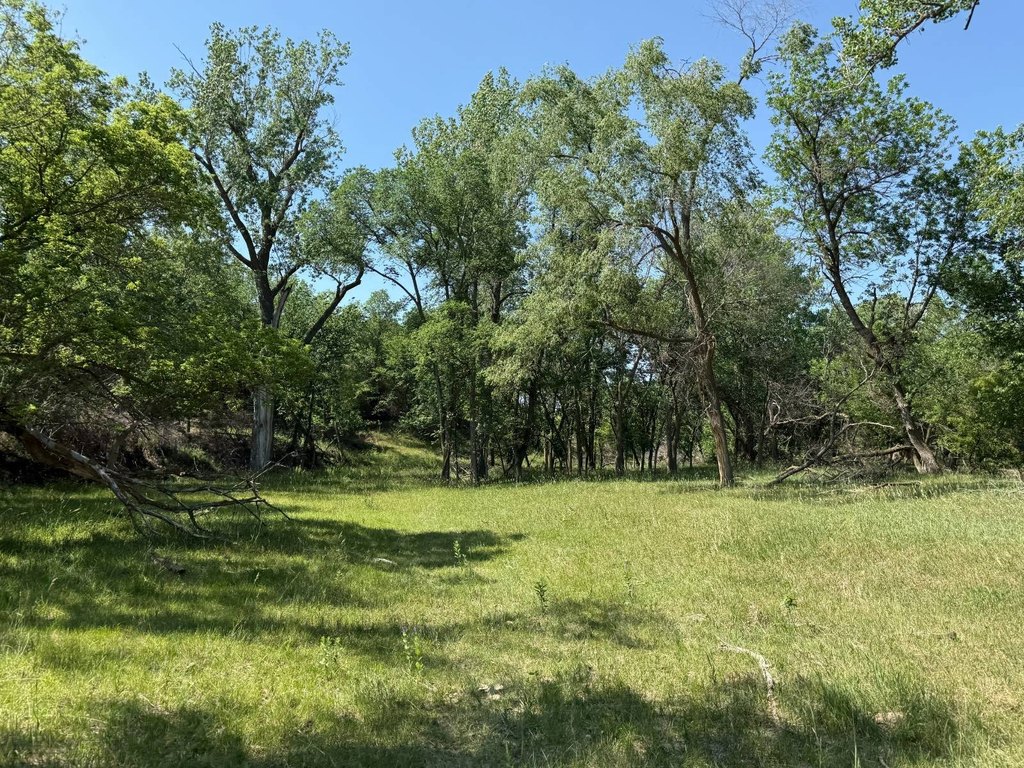 Picture 19