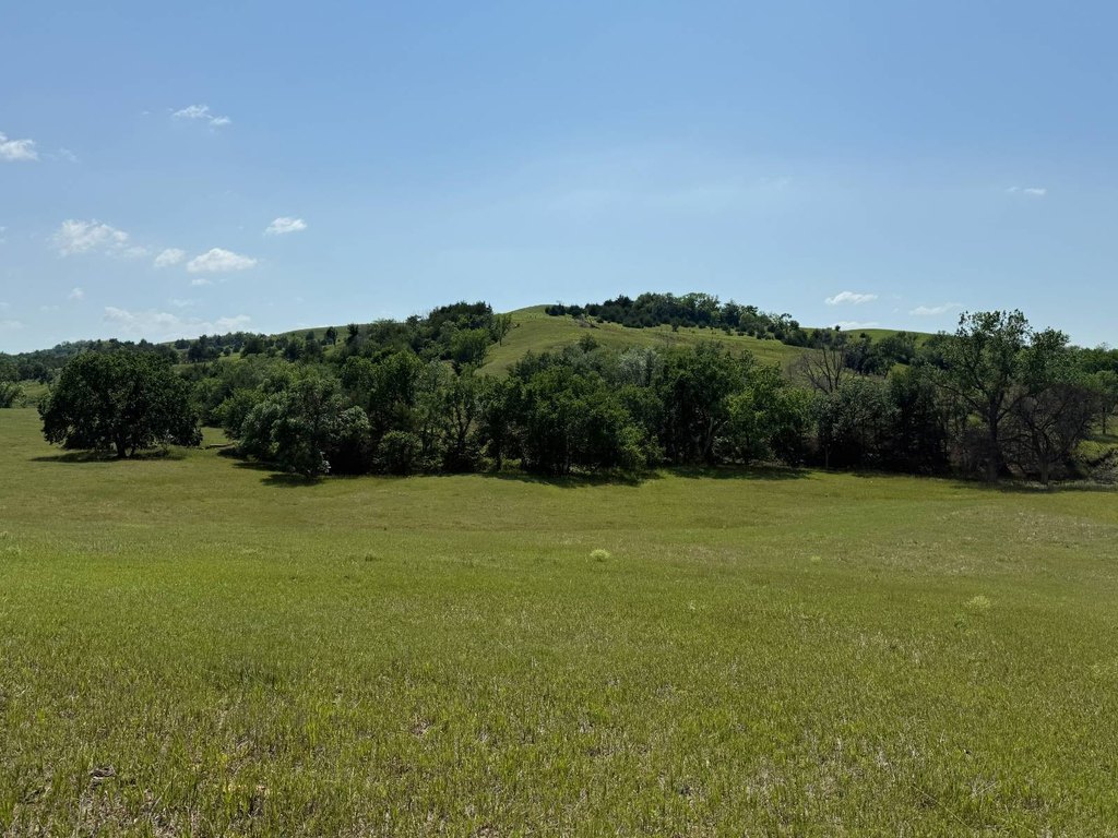 Picture 47