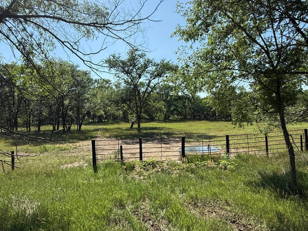 Picture 30