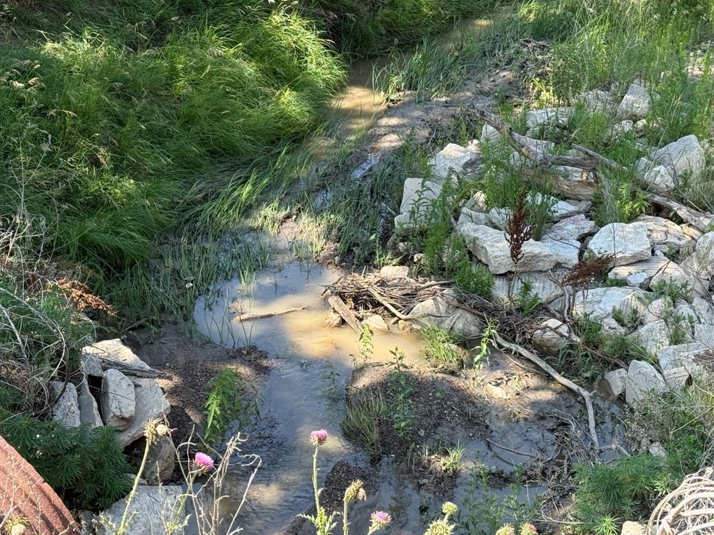 Picture 8