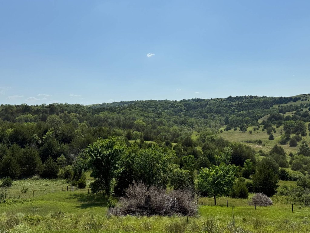 Picture 22