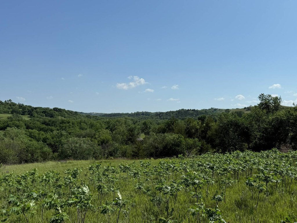 Picture 27