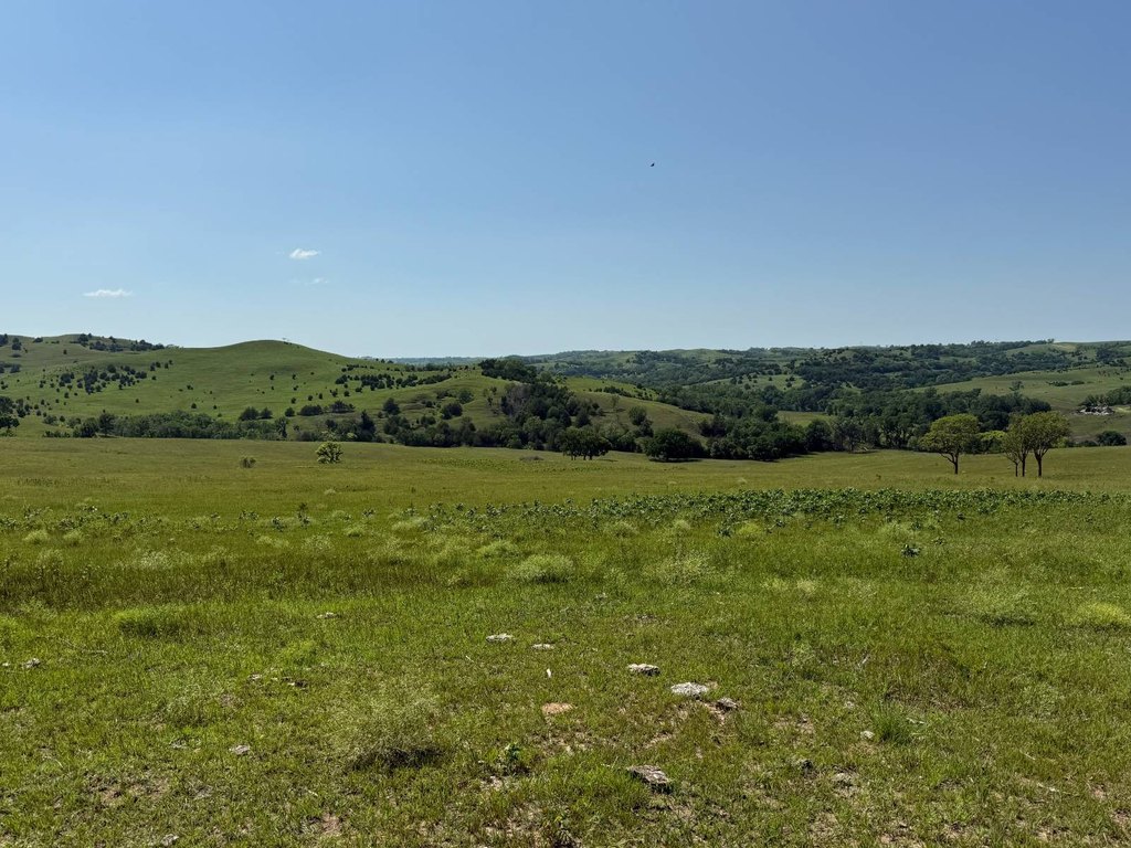 Picture 49