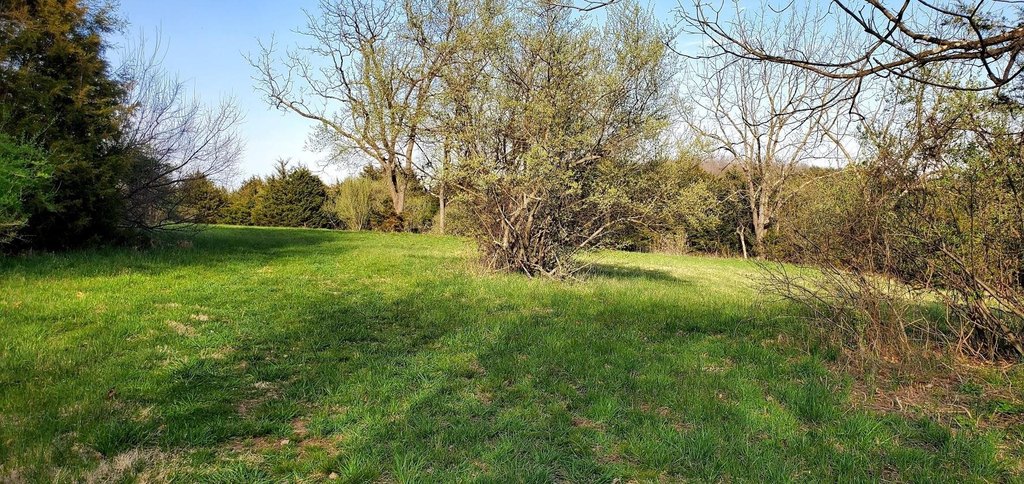 Picture 11