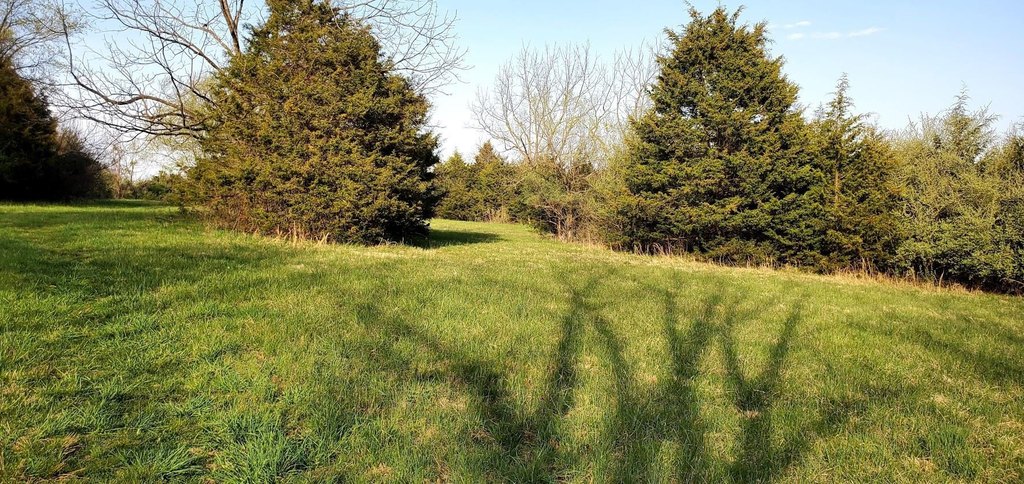 Picture 18