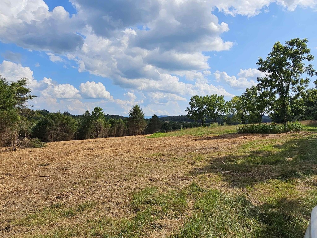 Picture 27