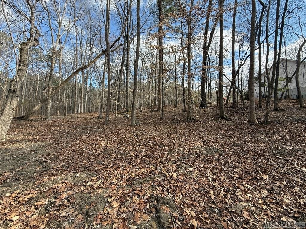 Picture 25