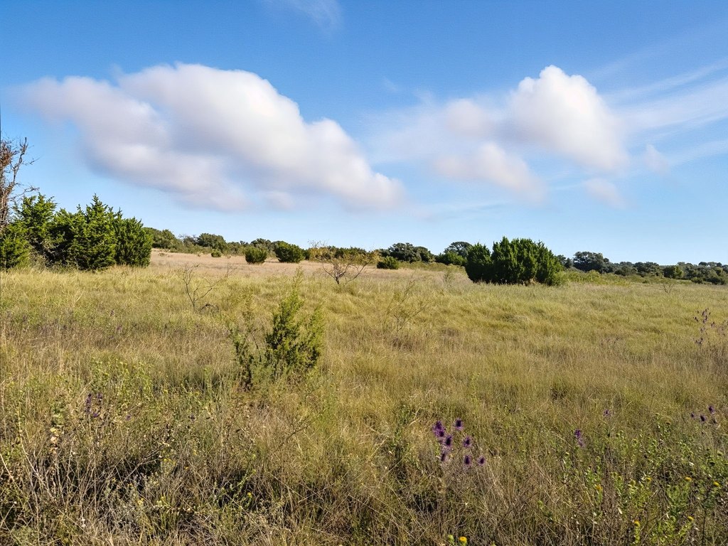 Picture 20