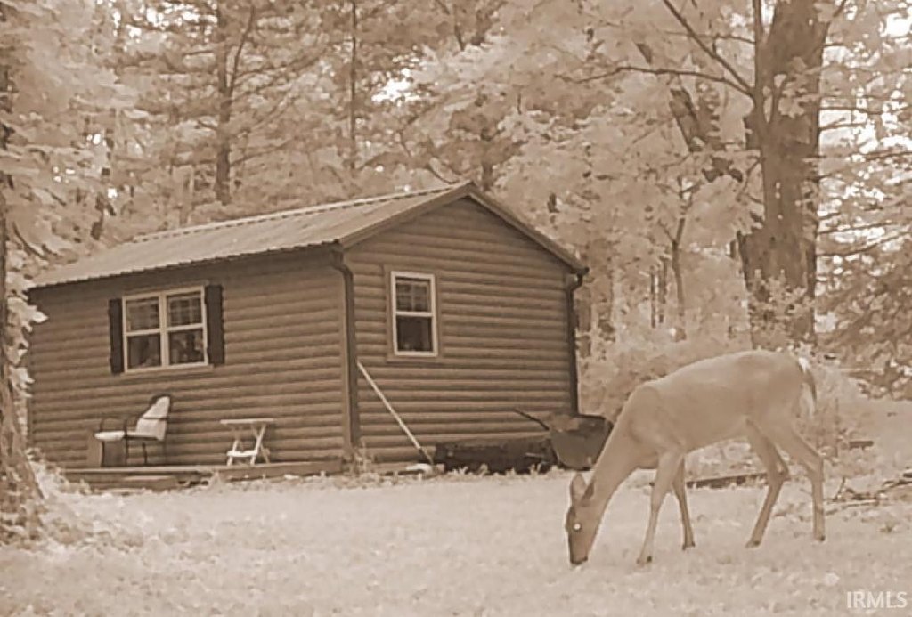 Picture 19
