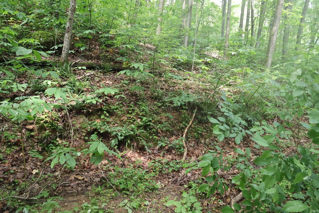 Picture 10