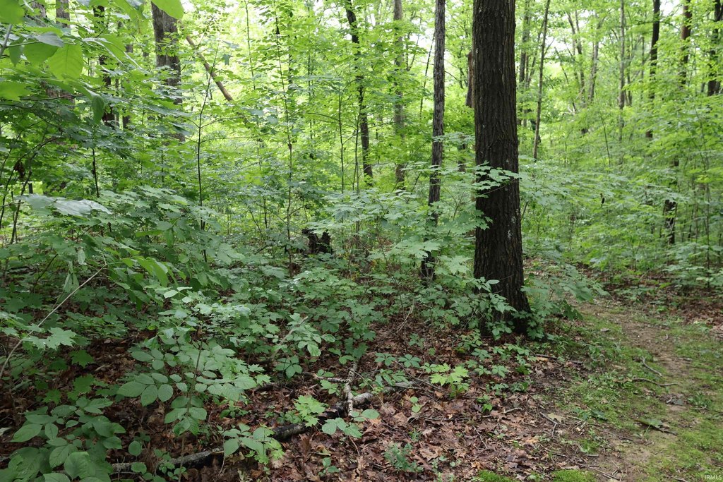Picture 36