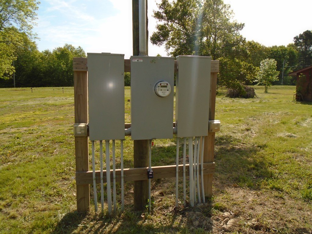 Picture 9