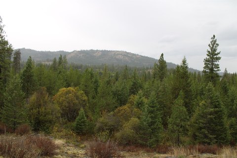 Land, Newport, WA