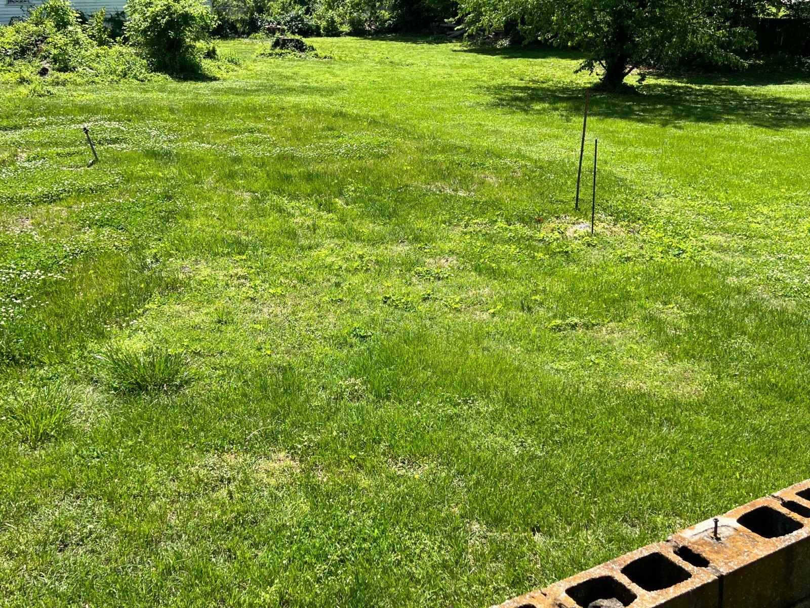 Vacant Land in Cannelton, IN